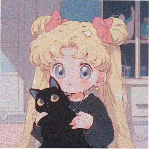 UP主摄影与调色作者头像